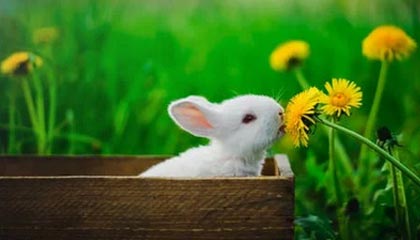 打扑克剧烈运动软件视频:一款让牌桌与肌肉对话的创新应用