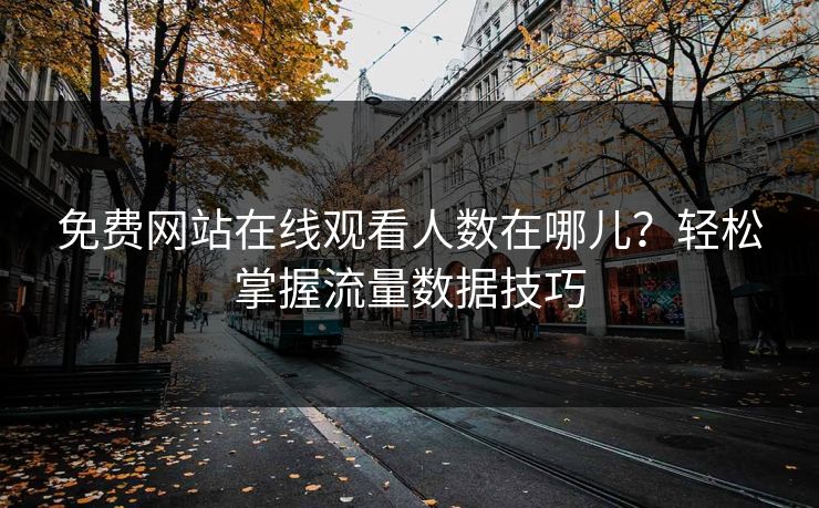 免费网站在线观看人数在哪儿?轻松掌握流量数据技巧