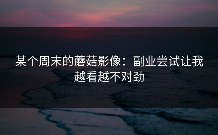 某个周末的蘑菇影像：副业尝试让我越看越不对劲